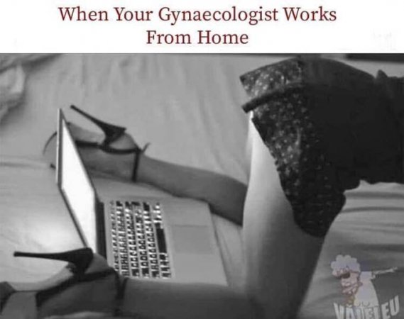 Gyneco.jpg