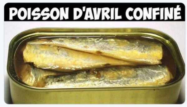 poisson2.jpg